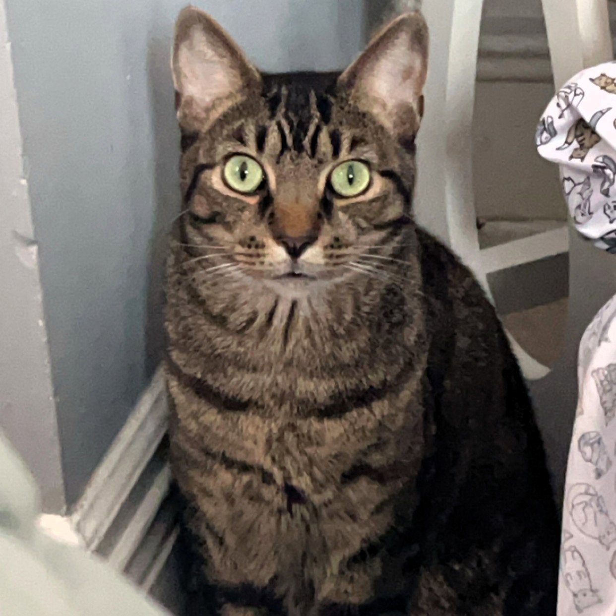 Wilbur