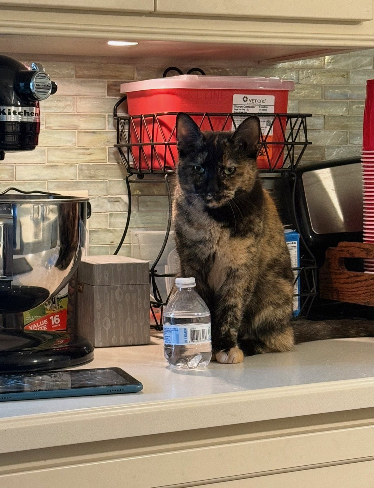 Lucy
