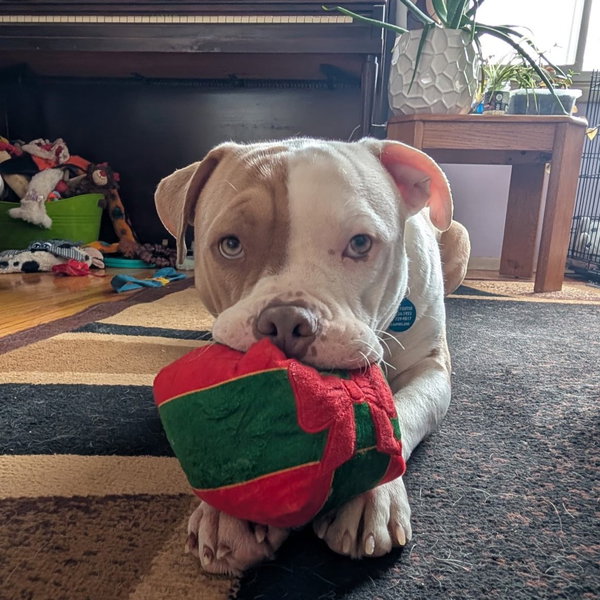 Reggie