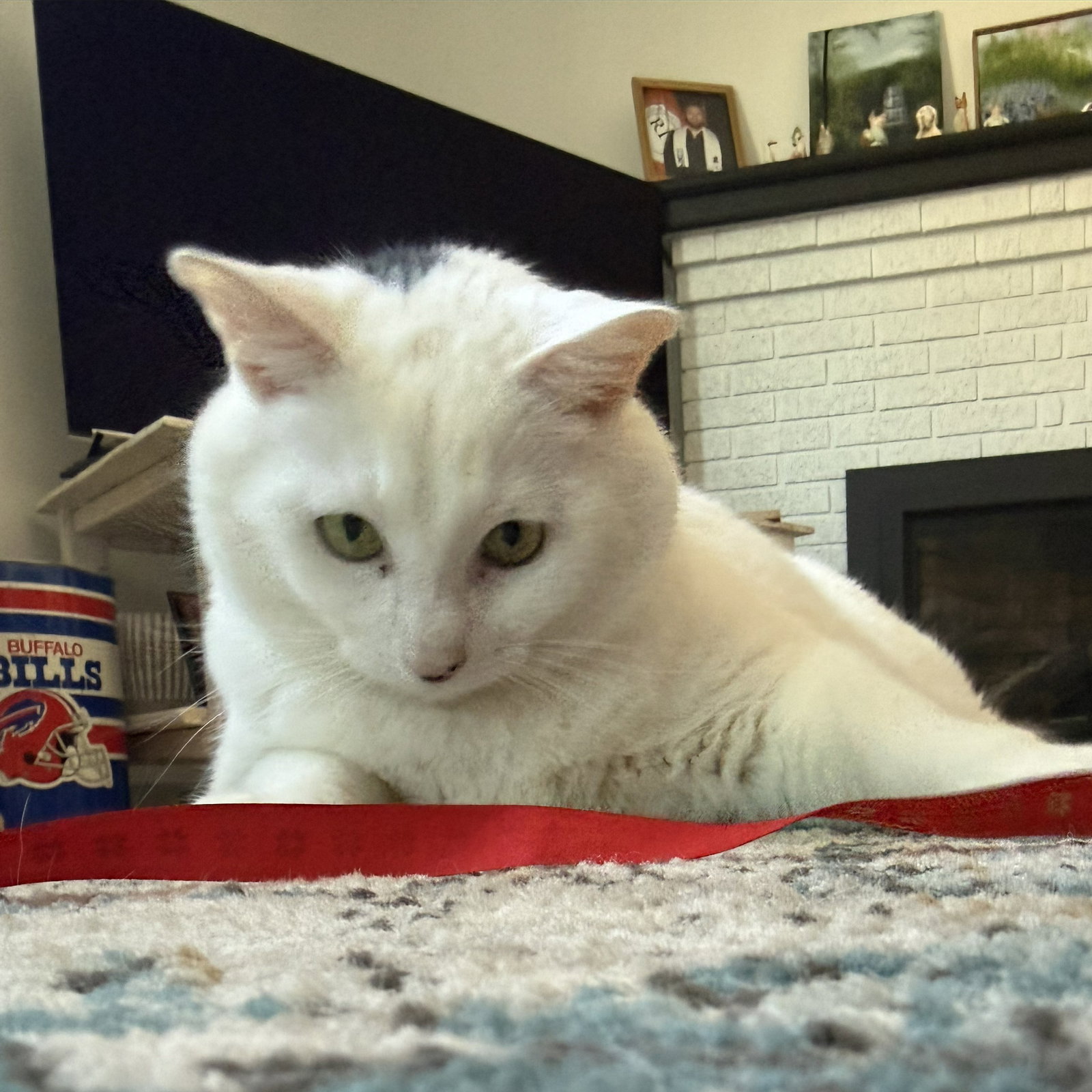 Otis