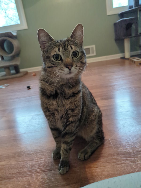 Tom