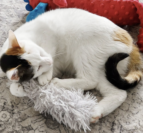 Pretzel & Bagel photo 4