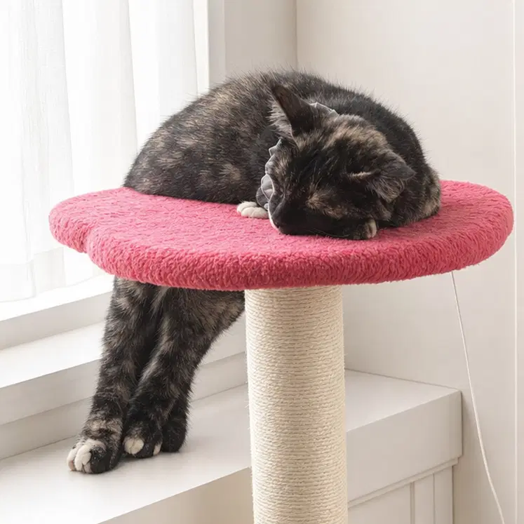 Zena image 4