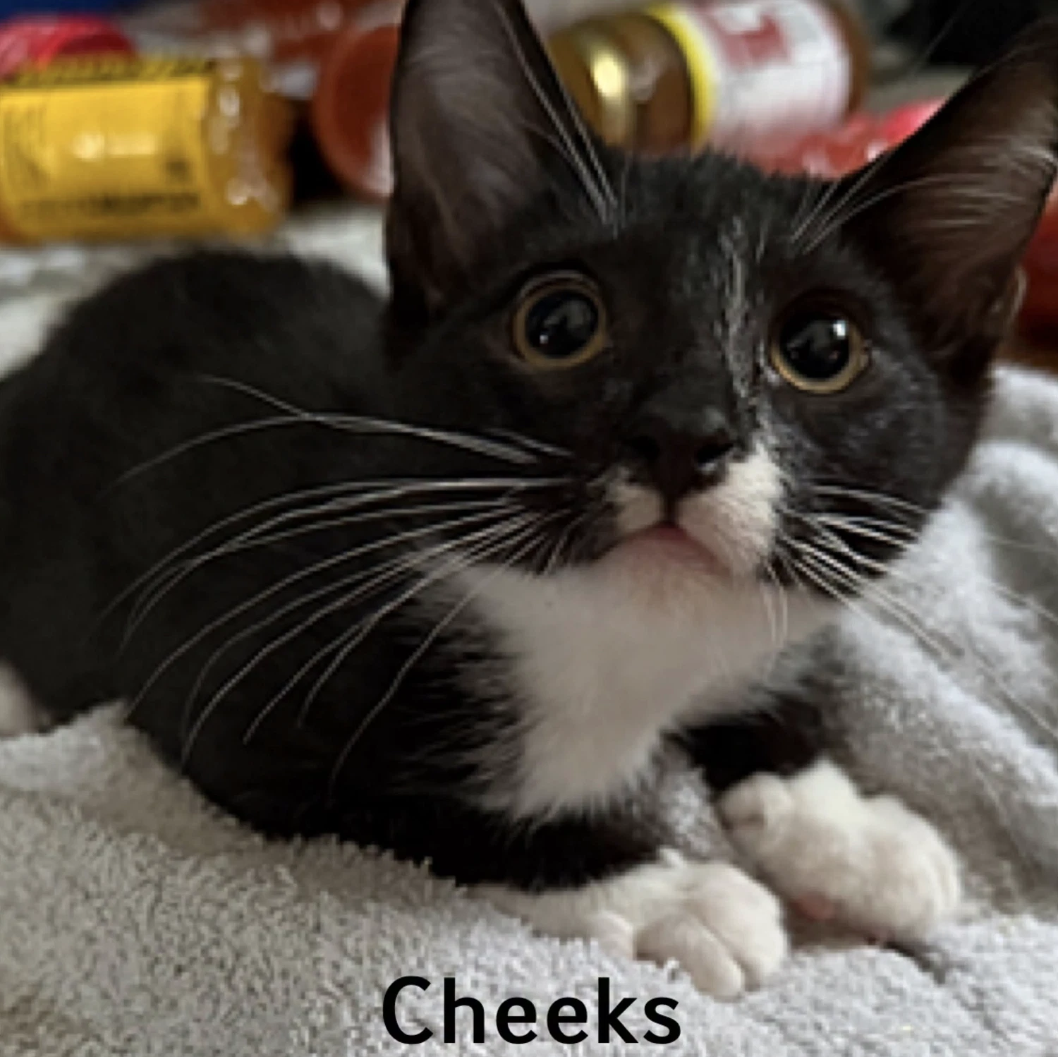 Cheeks