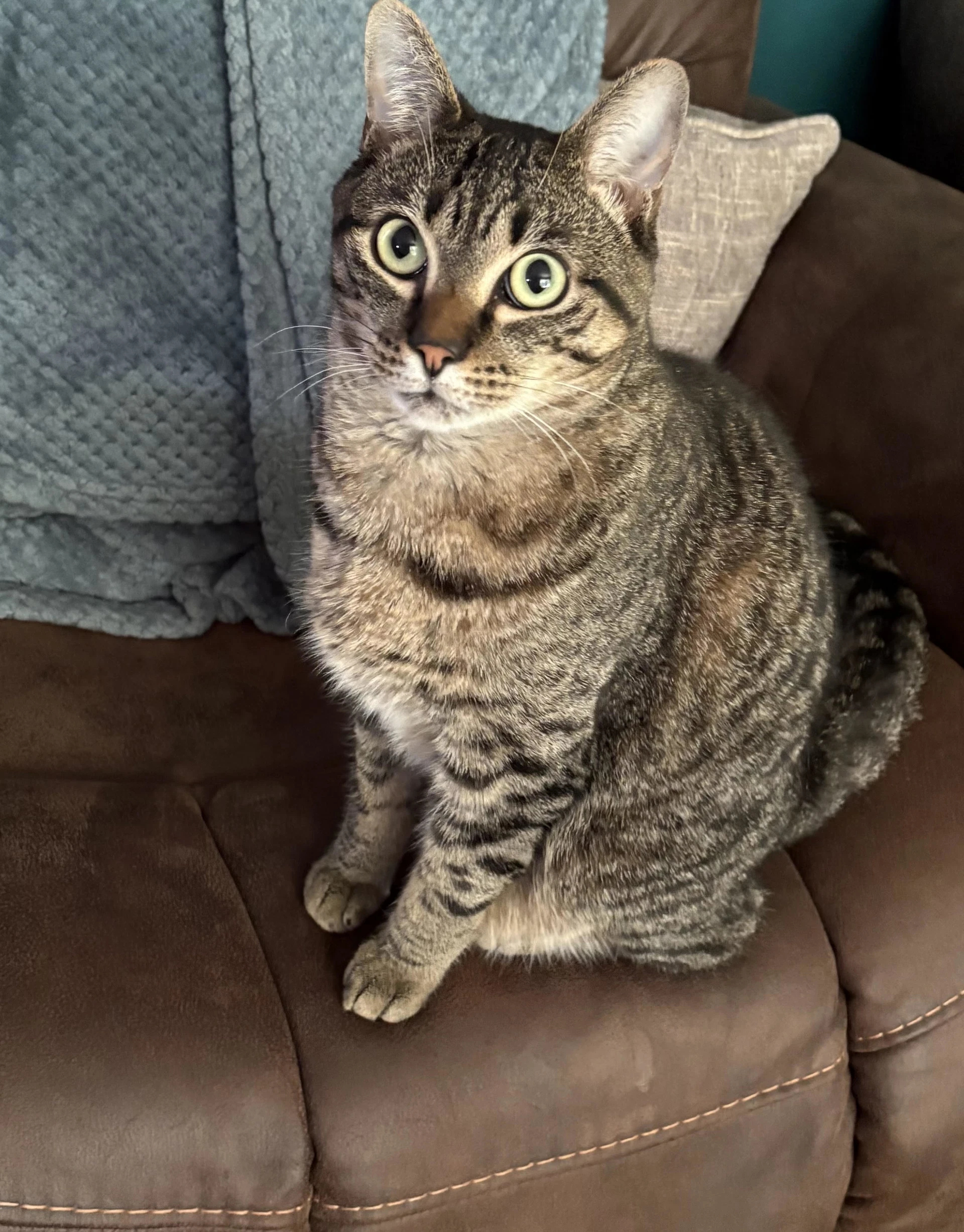 Milo