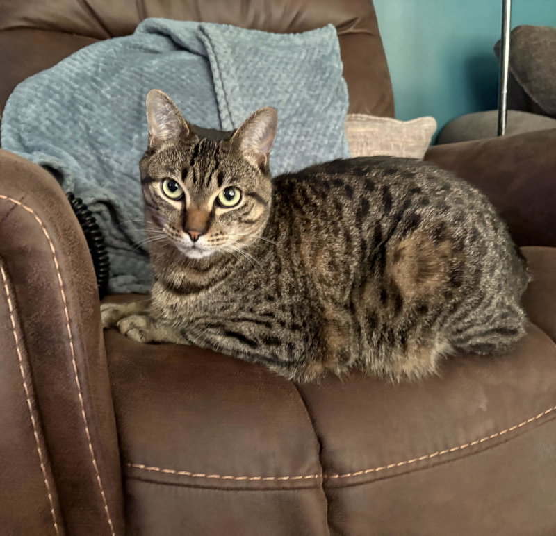 Milo, photo 2