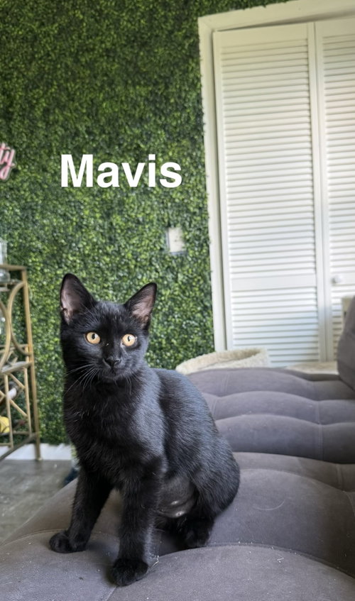 Photo 2 of Mavis & Tommy