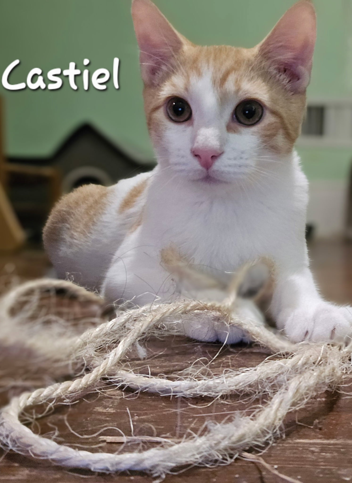 Castiel