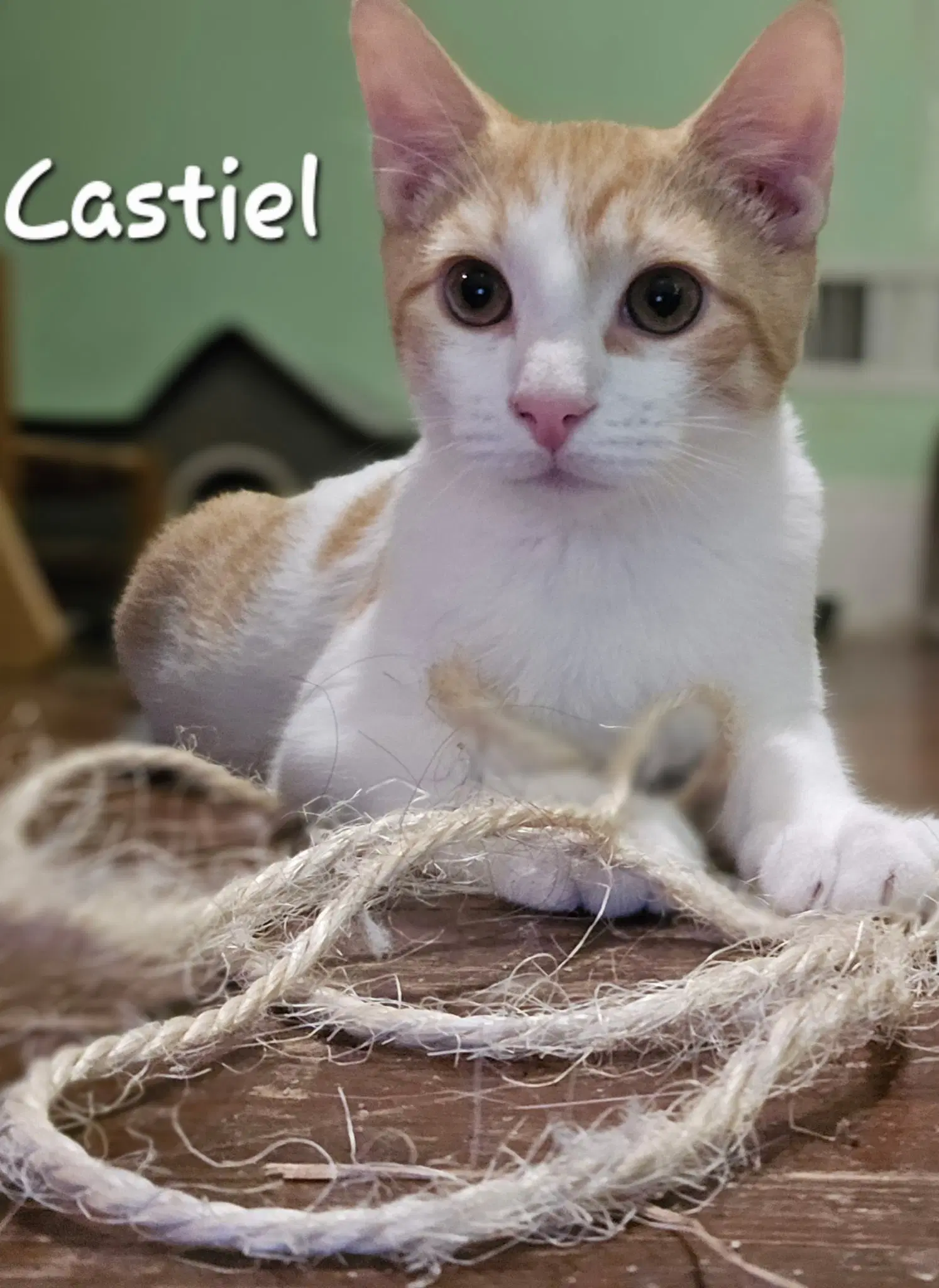 Castiel image 1