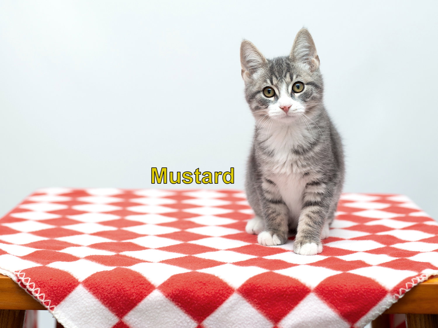 Mustard