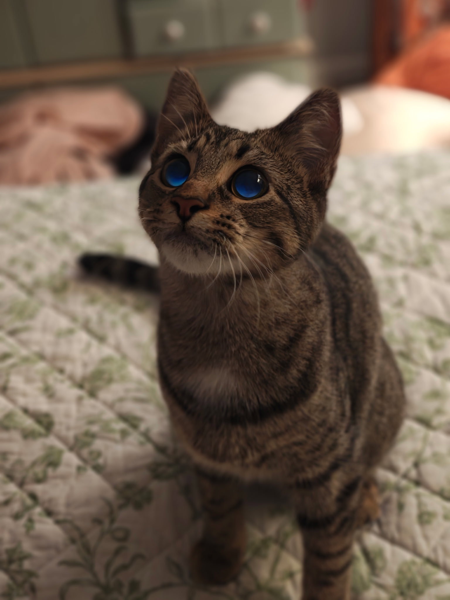 Cleo