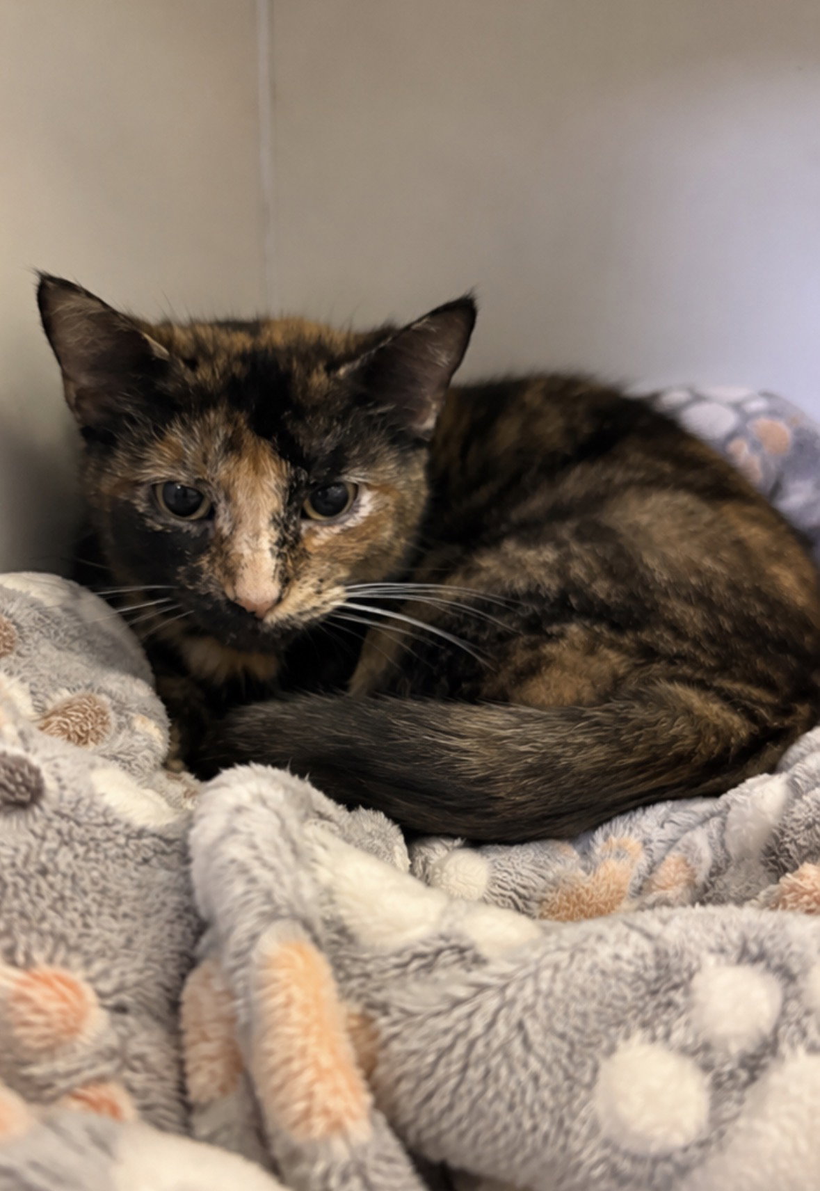 Nairobi, photo 2