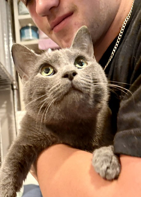 Felix, photo 3