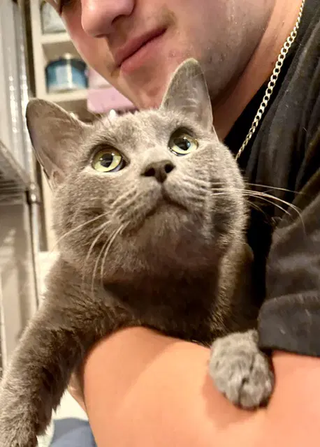 Felix image 3