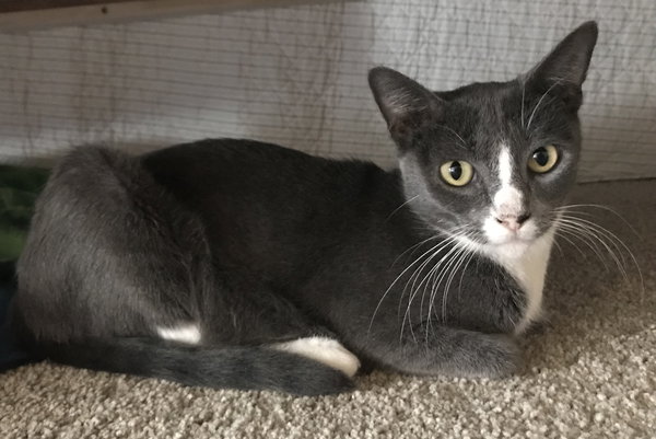 Sky (aka Skylar)