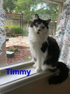 Timmy