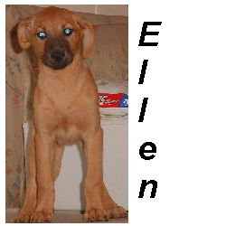 Ellen-1171