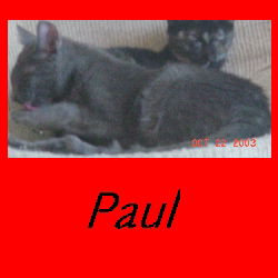 Paul