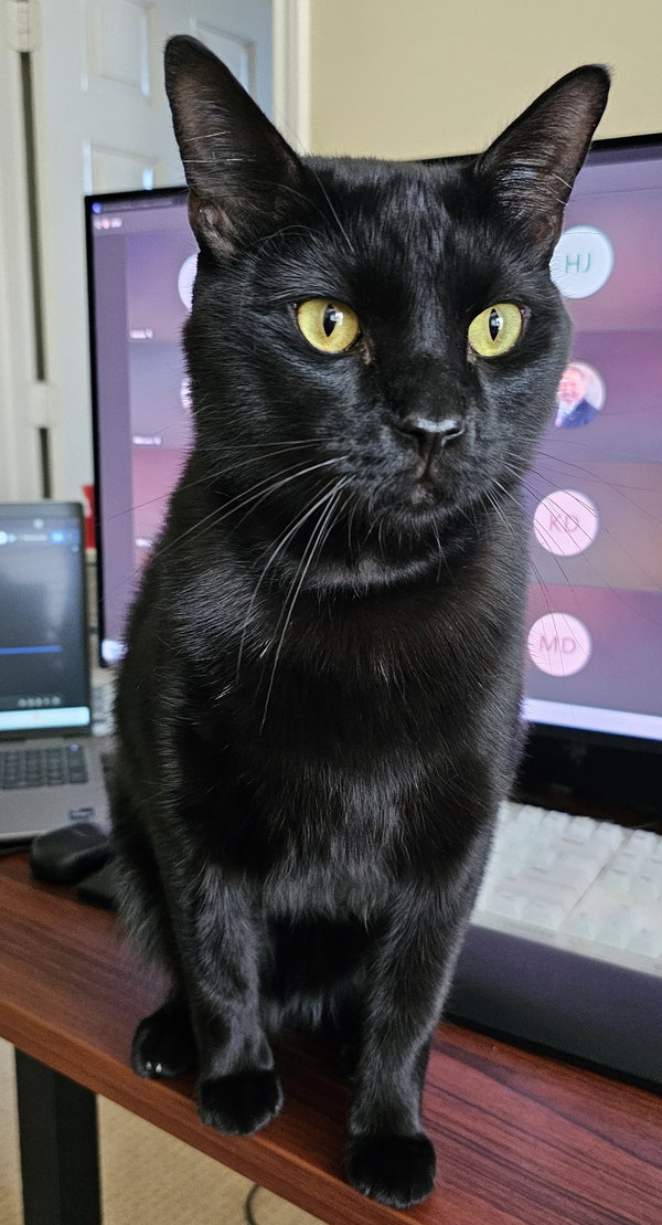 Echo