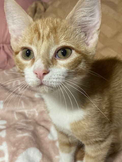 Photo 2 of Luna
