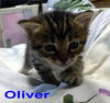 Oliver