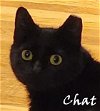 Chat Ruth