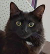 Sabrina Bridgeport