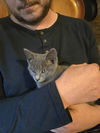 Clover Bridgeport - must adopt with Pepper