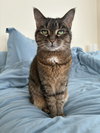 Ivy Bella Jones - Photo 2