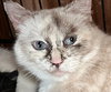 Sandy Penn