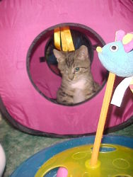 Winky