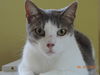 Deanna *Front Declawed*