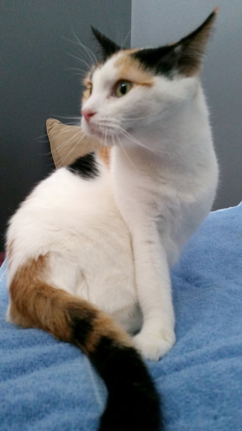 Freya photo 8