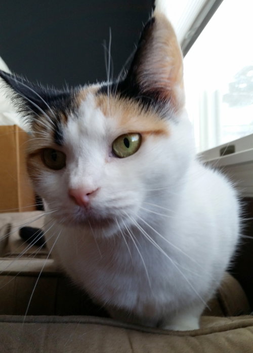 Freya photo 6