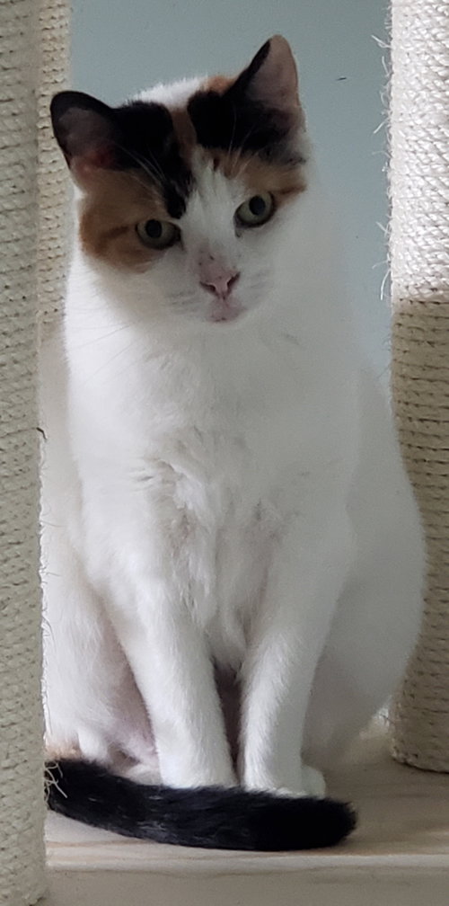 Freya photo 4