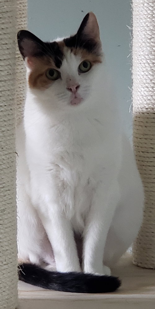 Freya photo 3