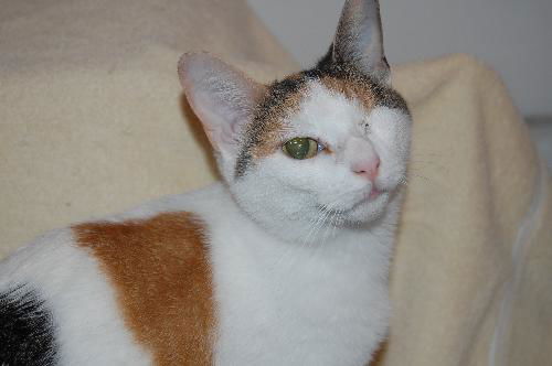 Lilly
