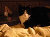 Seymour