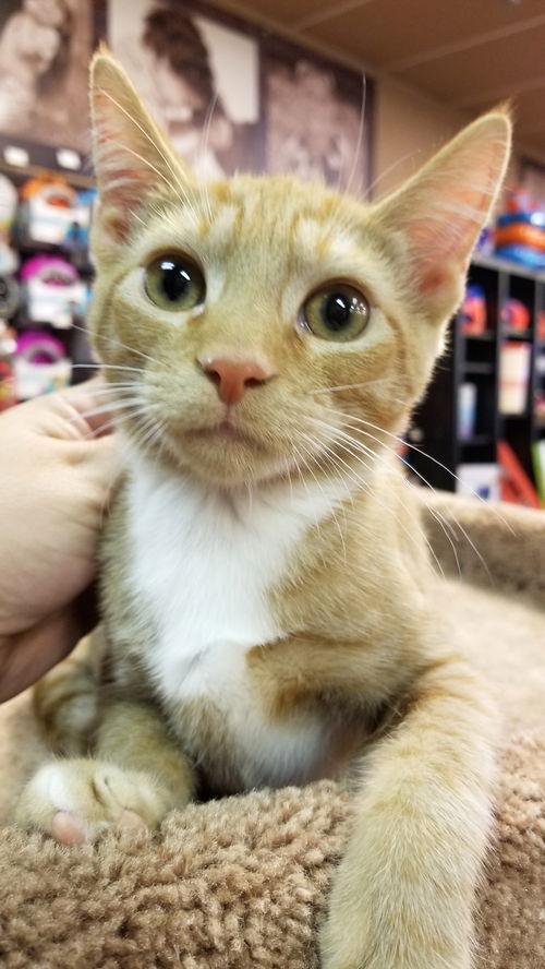 Jonesy