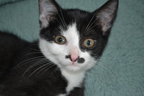 Photo 6 of Luna