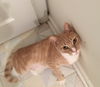 Shiloh