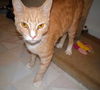 Shiloh