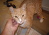 Shiloh