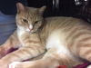Shiloh
