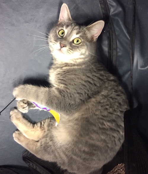 Luna
