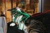 Mittens *video*