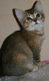 Lola