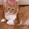 Neil