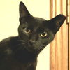Francine