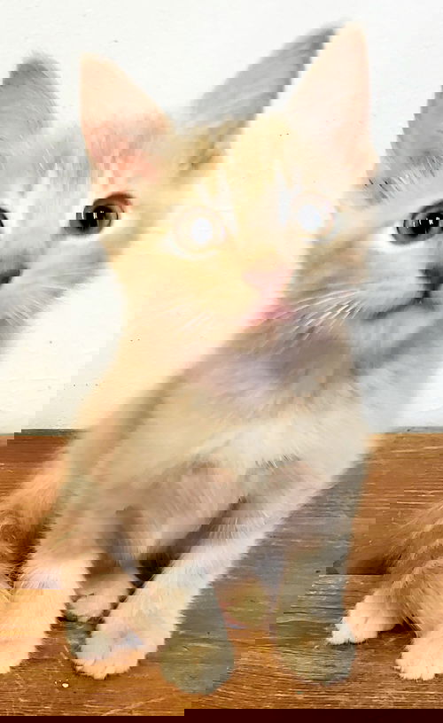 Theseus